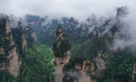 (miniature) Les montagnes entourées de nuages et de brouillard dans le parc forestier national de Zhangjiajie