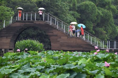 (miniature) Des visiteurs apprécient des fleurs de lotus dans le parc Jinshan