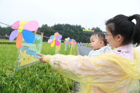 (miniature) Des gens admirent le paysage d'une rizière lors d'un événement célébrant la Fête de la moisson des agriculteurs chinois à Jiande