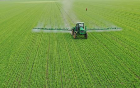 (miniature) Photo prise le 27 mai 2021 montrant un pulv&eacute;risateur automoteur en action sur une ferme &agrave; Heihe
