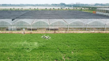 (miniature) Photo aérienne d'un drone de traitement phytosanitaire travaillant sur une base de plantation intelligente