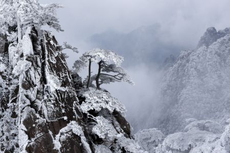 (miniature) Paysage enneigé du site pittoresque du mont Huangshan