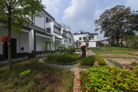 (miniature) Un villageois travaille dans son jardin dans un village de Jiaxing