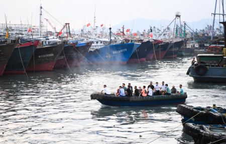 (miniature) Des marins rentrent au port pour s'abriter à Yangjiang
