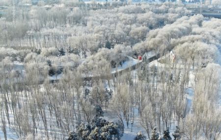 (miniature) Vue aérienne d'un paysage de givre le long de la rivière Hunhe à Shenyang