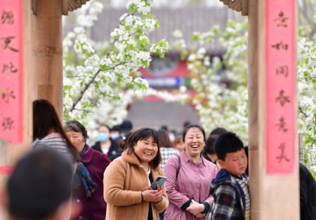 (miniature) Des touristes se prom&egrave;nent parmi les poiriers en fleurs pendant le festival de la floraison des poiriers dans la ville de Qian'an