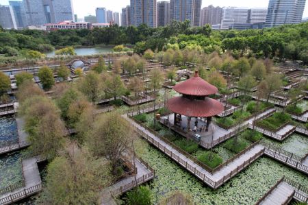 (miniature) Photo aérienne prise le 5 octobre 2021 montrant des personnes s'amusant dans un parc de zones humides à Xiamen