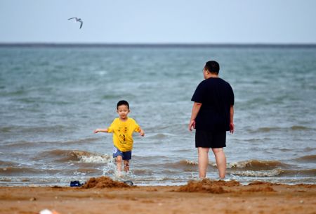 (miniature) Des gens s'amusent au bord de la mer dans la Nouvelle Zone de Binhai
