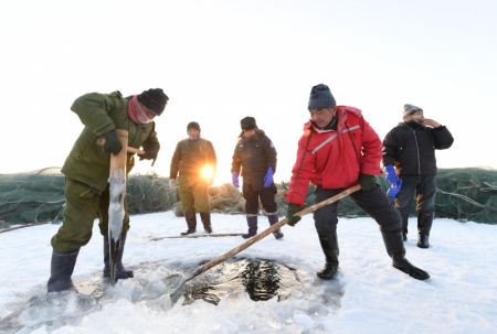(miniature) Des pêcheurs creusent un trou dans le lac Ulunggur gelé du district de Fuhai de la région autonome ouïgoure du Xinjiang (nord-ouest de la Chine)