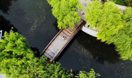(miniature) Paysage printanier le long des douves à Jinan