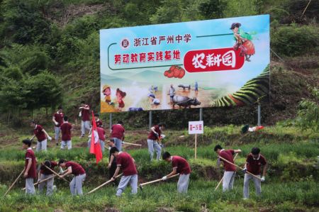 (miniature) Des élèves labourent un champs et enlèvent les mauvaises herbes lors d'un module de l'éducation au travail