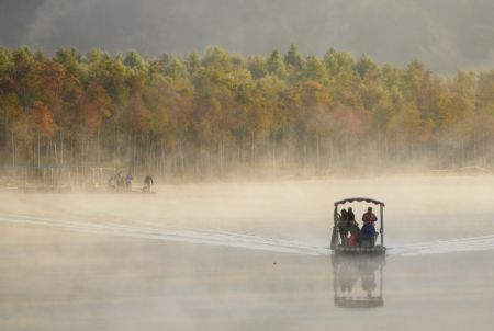 (miniature) Des touristes observent des forêts de cyprès chauves depuis un radeau