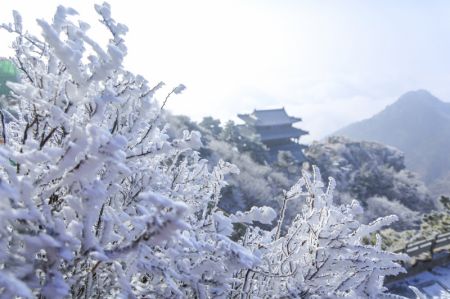 (miniature) Paysage de givre du mont Taishan