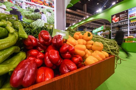 (miniature) Photo du Salon international d'hiver des produits agricoles tropicaux de Chine (Hainan) 2020