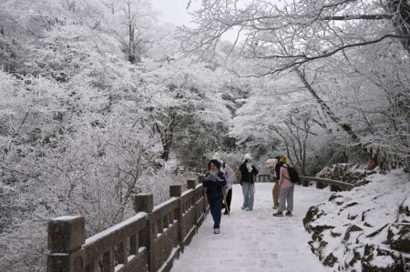 (miniature) Des touristes profitent du paysage enneigé du site pittoresque du mont Huangshan