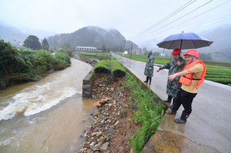 (miniature) Des secouristes inspectent une plantation de thé endommagée dans le village de Hongxing du bourg de Xingcun