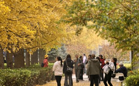 (miniature) Des personnes admirent le paysage automnal dans le Parc forestier olympique de Beijing