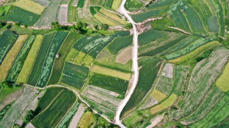 (miniature) Photo aérienne montrant les champs en terrasse de Majiayuan dans le district autonome Hui de Zhangajiachuan à Tianshui