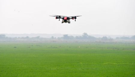 (miniature) Un drone pulvérisant des pesticides sur une rizière dans le district de Nanchang