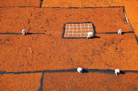 (miniature) Photo a&eacute;rienne prise le 22 septembre 2021 d'agriculteurs faisant s&eacute;cher des piments rouges dans le district de Hengdong de la ville de Hengyang