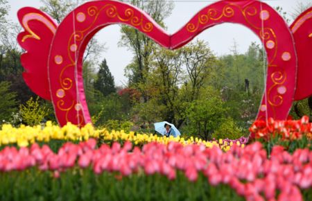 (miniature) Une touriste admire les fleurs au Jardin botanique de Xi'an