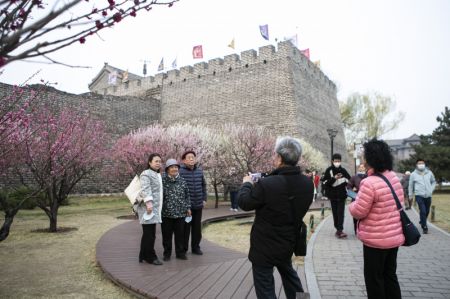 (miniature) Des gens posent pour des photos devant des arbres en fleurs dans le parc du site des murailles de la ville de la dynastie Ming