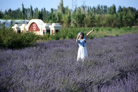 (miniature) Une touriste prend un selfie dans un champ de lavande du district de Huocheng