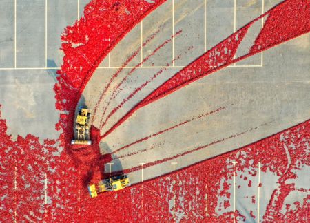 (miniature) Photo a&eacute;rienne de machines empilant des piments dans le bourg de Dongfeng