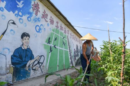(miniature) Le villageois Yu Wanchun enl&egrave;ve des mauvaises herbes dans un champ du village de Jiaqi