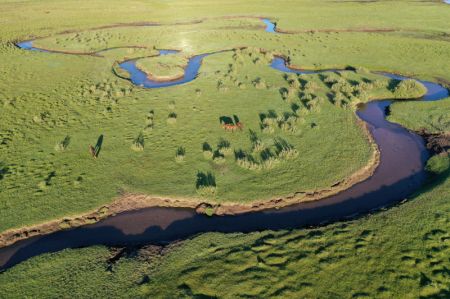 (miniature) Paysage des prairies dans la zone de Bashang du district autonome mandchou de Fengning