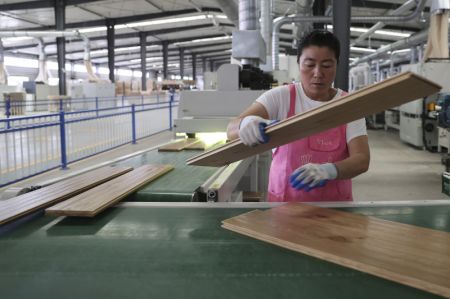 (miniature) Une employée travaille dans un atelier d'une entreprise de transformation du bois dans la sous-zone de Suifenhe
