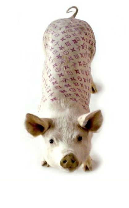 (miniature) Insolite : des peaux de cochons tatoués vendues à 1 millions de yuans