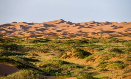 (miniature) Paysage du désert de Tengger dans la bannière gauche d'Alxa
