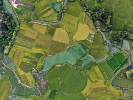 (miniature) Une photo aérienne prise le 25 août 2020 montre un paysage du bourg de Huaidian dans le district de Guangshan