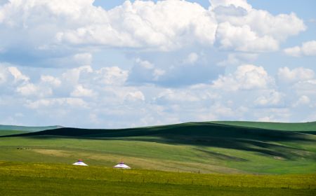 (miniature) Deux yourtes dans la prairie de Hulun Buir