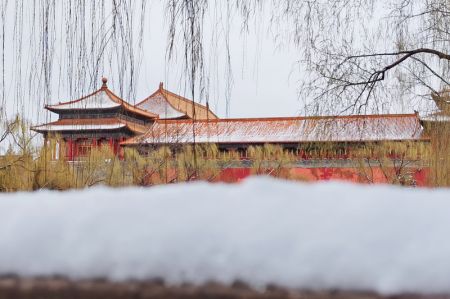 (miniature) Le parc Zhongshan après une chute de neige à Beijing