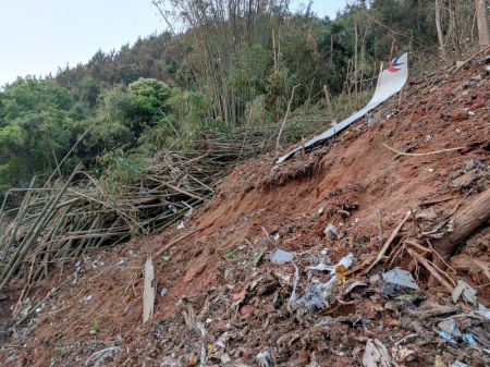 (miniature) Photo prise avec un téléphone mobile montrant des débris d'un avion de passagers sur le site du crash