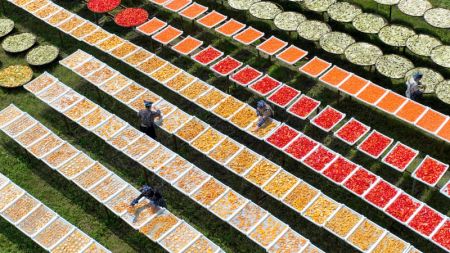 (miniature) Photo aérienne de villageois faisant sécher des produits agricoles dans le village de Lutian dans le district de Tonggu