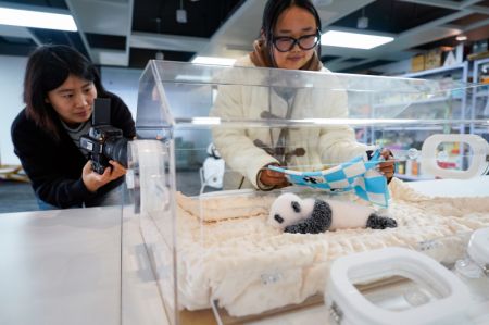 (miniature) Des employées tournent une courte vidéo d'un panda en peluche