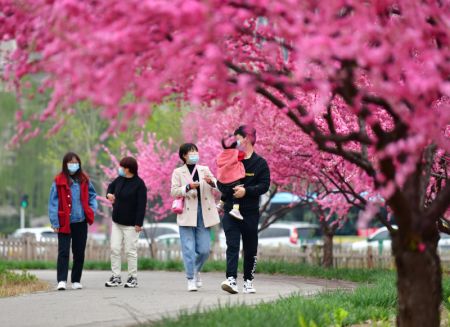 (miniature) Des touristes admirent les fleurs du parc Huangtaishan à Qian'an