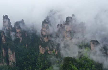 (miniature) Les montagnes entourées de nuages et de brouillard dans le parc forestier national de Zhangjiajie