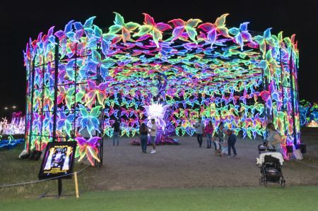 (miniature) Des gens visitent le Festival des lumières Tianyu dans la banlieue de Dallas