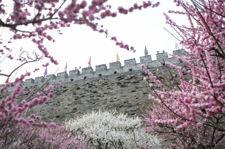 (miniature) Le site des murailles de la ville de la dynastie Ming