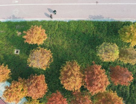(miniature) Vue aérienne d'un parc à Nanning