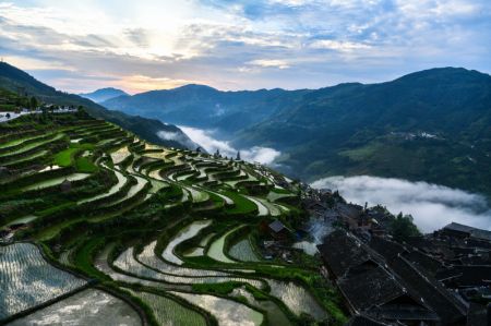 (miniature) Des champs en terrasses dans le bourg de Jiabang