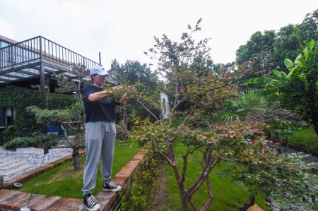 (miniature) Un villageois travaille dans son jardin dans un village de Jiaxing