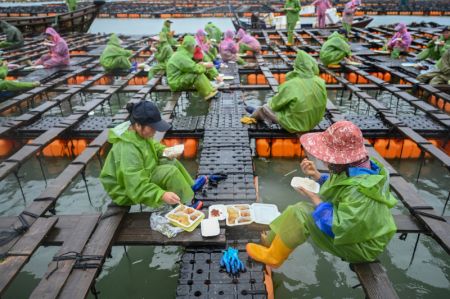 (miniature) Des pêcheurs prennent leurs repas dans une base d'élevage des ormeaux à Lianjiang