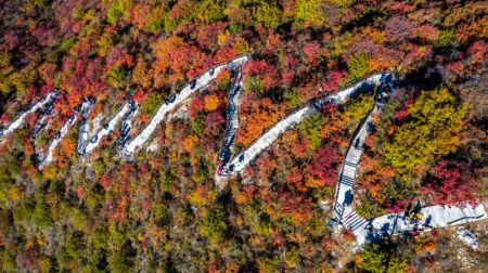 (miniature) Vue des feuilles rouges dans un canyon des monts Taihang du district de Shexian