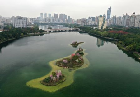 (miniature) Des fleurs sur les &icirc;lots au milieu du lac Nanhu &agrave; Nanning