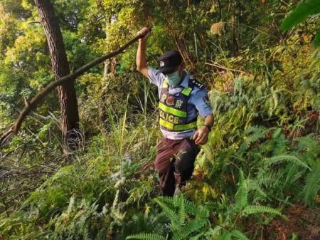 (miniature) Photo prise avec un téléphone mobile d'un policier effectuant des travaux de recherche et de secours autour du site du crash d'un avion